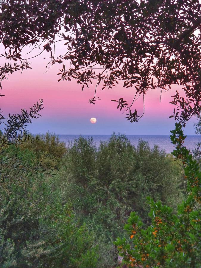 הוילה Porto Frailis Arbatax Casa Vista Mare מראה חיצוני תמונה